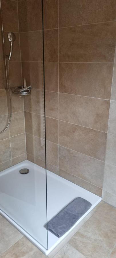 Sofia Apartment - Aare Jungfrau Ag Wilderswil Ngoại thất bức ảnh