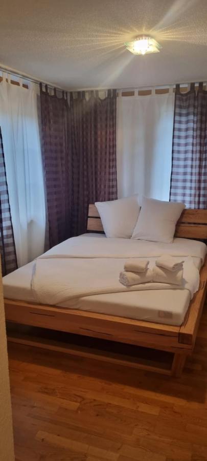 Sofia Apartment - Aare Jungfrau Ag Wilderswil Ngoại thất bức ảnh