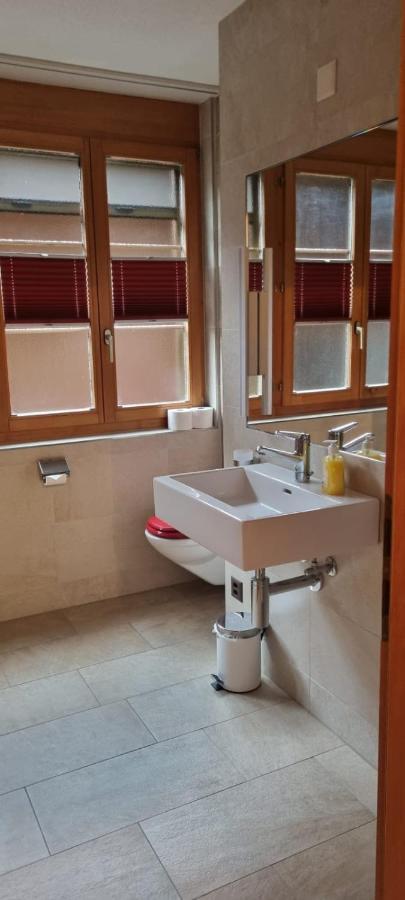 Sofia Apartment - Aare Jungfrau Ag Wilderswil Ngoại thất bức ảnh