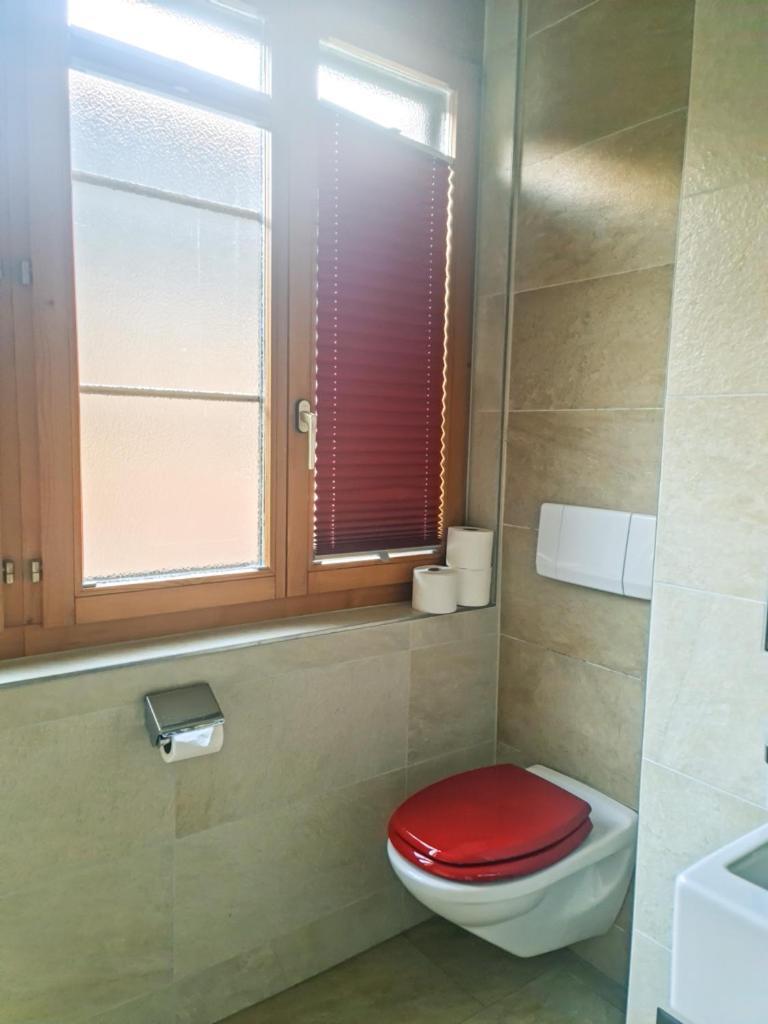 Sofia Apartment - Aare Jungfrau Ag Wilderswil Ngoại thất bức ảnh