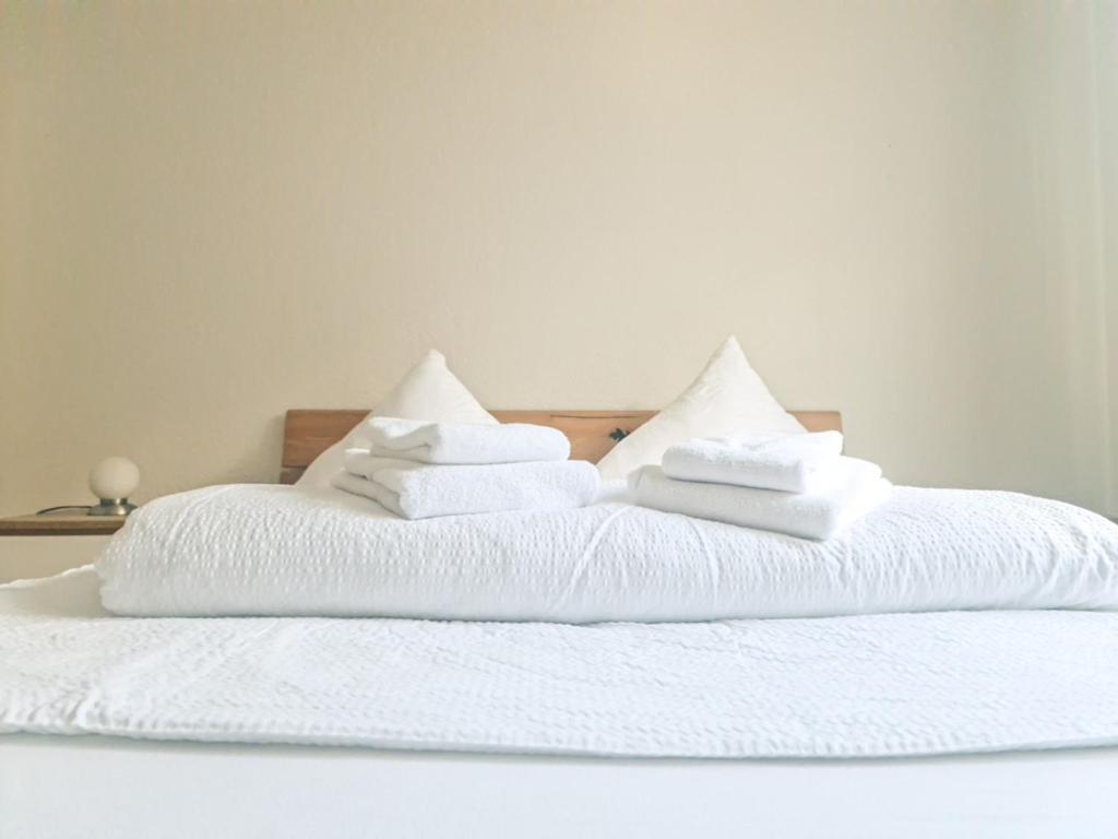 Sofia Apartment - Aare Jungfrau Ag Wilderswil Ngoại thất bức ảnh