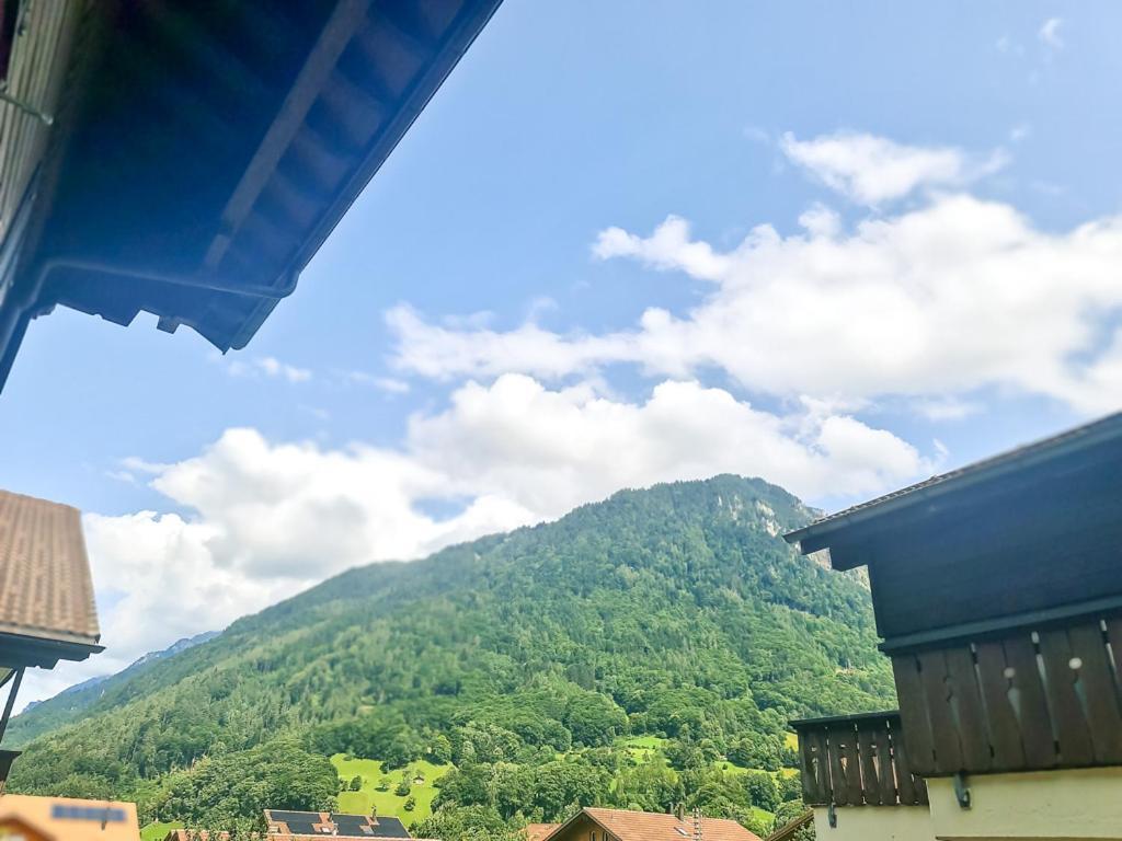 Sofia Apartment - Aare Jungfrau Ag Wilderswil Ngoại thất bức ảnh